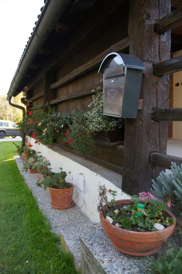 Apartments Mlin Bohinj Extérieur photo